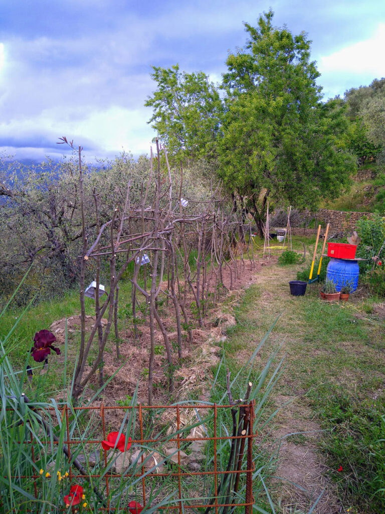 Apricale liguria cottage for sale 70 imp 44085 017