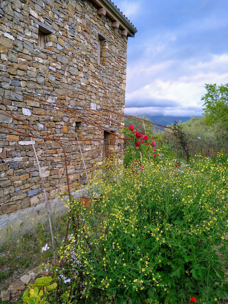 Apricale liguria cottage for sale 70 imp 44085 025